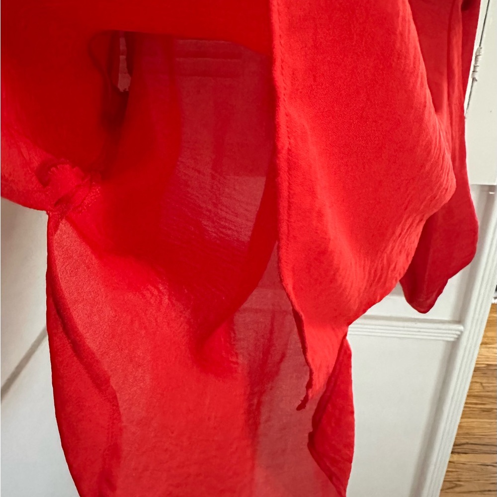 Red Sheer High/Low Blouse - Picture 4 of 4